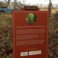 hoge_veluwe