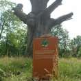 Reclamezuilen Nationaal Park De Hoge Veluwe