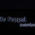 lichtreclame_depeppel_1