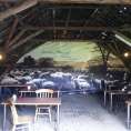 theehuis_de_mossel_spandoek